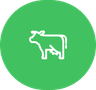 Livestock Farm