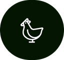 Poultry Farm
